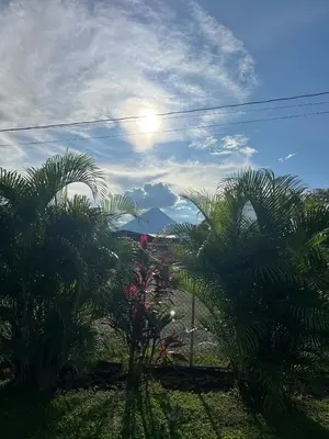 a view of the mountains from a garden with palm trees at Gray Oasis, Private Pool in Agua Azul