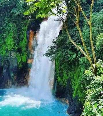 a waterfall in the middle of a river at Cabaña cielo celeste in Rio Celeste