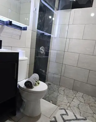 a bathroom with a toilet and a shower at Coral House Fortuna in Tanque