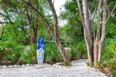 a surfboard is sitting in the middle of trees at Nosara Beach Cabins in Nicoya