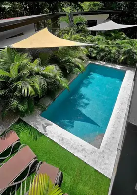 an overhead view of a swimming pool with palm trees at Casa Cascada La Roca in Sámara