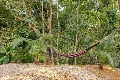 a hammock hanging from trees in a forest at Private Costa Rican Oasis with Pool River Views in Cóbano