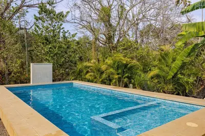 an empty swimming pool in front of a forest at Private Costa Rican Oasis with Pool River Views in Cóbano