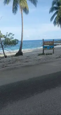 a bench on a beach with palm trees and the ocean at Private Costa Rican Oasis with Pool River Views in Cóbano