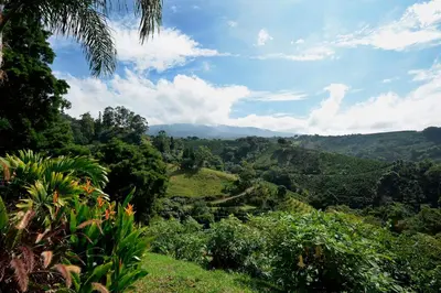 a view of a valley in the hills at Supercostarica in Grecia
