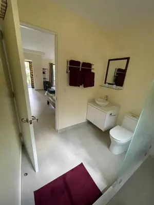a bathroom with a toilet and a sink and a mirror at In the Heart of Nature in Tarcoles