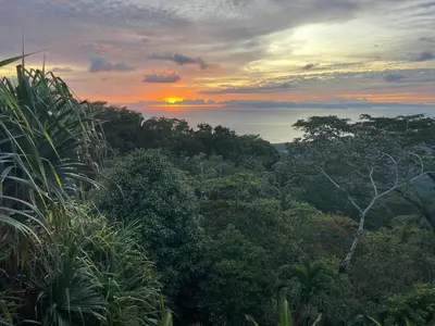 a sunset over a forest of trees with the sun setting at In the Heart of Nature in Tarcoles