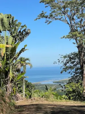 a view of the ocean from a hill with trees at In the Heart of Nature in Tarcoles