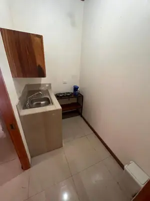 a small kitchen with a sink and a counter at Apartamentos casco in Heredia