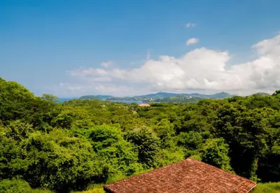 a view of a forest with a building in the foreground at Spacious 2BR Condo with Partial Ocean View- Roble Sabana- Reserva Conchal in Playa Conchal