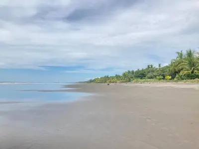 an empty beach with palm trees and the ocean at Safari tent with private pool close to Manuel Antonio Glamping 2 in Savegre