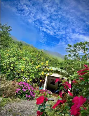 Gallery image of Zen Villa in Tapantí