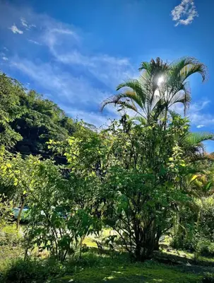 Gallery image of Zen Villa in Tapantí