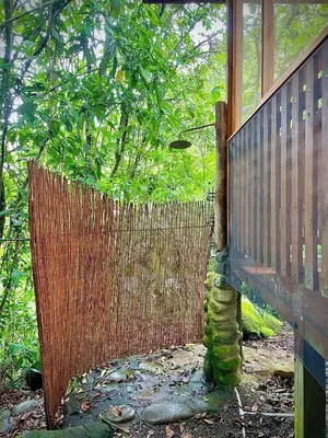 a wooden gate with a fence next to a tree at River Cabin 1BR Breathtaking Chirripó Retreat in Tapantí