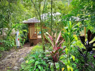a small building in the middle of a forest at River Cabin 1BR Breathtaking Chirripó Retreat in Tapantí