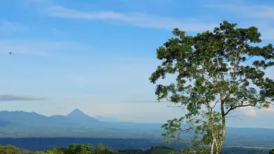 a tree on a hill with mountains in the background at Hospedaje Oropéndola in Quesada