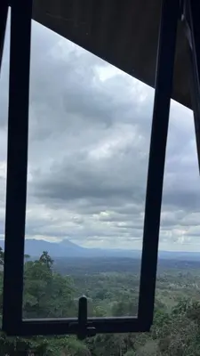 a view from a window looking out at the forest at Elevant Sanctuary in Tapantí