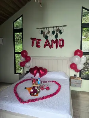 a bed with a heart made out of balloons at Elevant Sanctuary in Tapantí