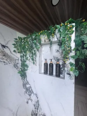 a wall with three bottles on a ledge with plants at Elevant Sanctuary in Tapantí