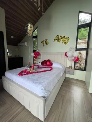 a bedroom with a white bed with balloons on it at Elevant Sanctuary in Tapantí