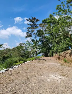 a dirt road with trees on the side of a hill at Hygge House with a view of the Arenal Volcano and the San Carlos Plain in Vieja