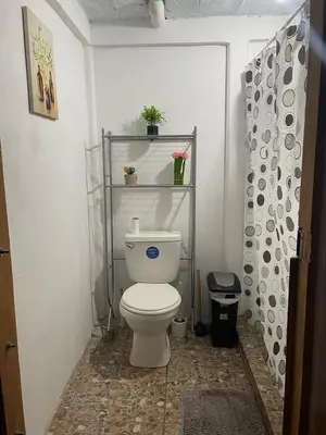 a bathroom with a toilet and a shelf with plants at Cabin -Treehouse La Tigra in San Gerardo