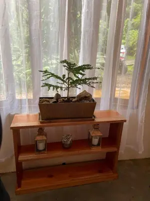 a plant sitting on a table in front of a window at Zen Mountain Escape 3BR Getaway near Chirripó in Rivas
