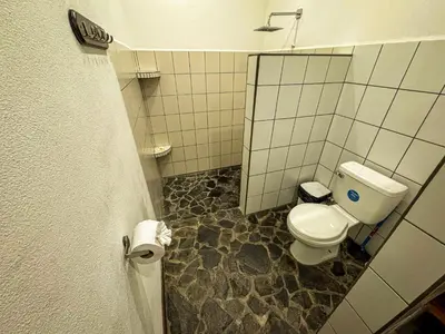 a bathroom with a toilet and a shower at Rustic Tropical Retreat with Pool & Garden Ojochal in Ojochal