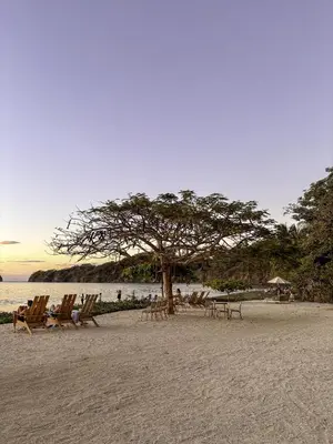 a group of chairs and a tree on the beach at Casa Brisa Tranquila, Pools, Gym, & Beach Club in Sardinal