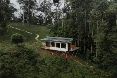 a tiny house in the middle of a forest at Finca Renacer - Jungle Lodges in San Luis