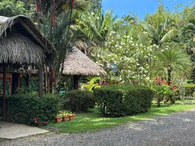 a house with a straw roof and some plants and trees at Casitas Diquis in Ojochal