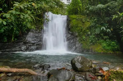 Gallery image of The garden oasis close to SJO airport in Alajuela City