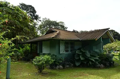 a green house with a tin roof on a yard at Hacienda Baru in Dominical