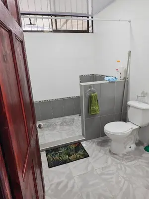 a bathroom with a toilet and a shower at Pequeña Casita Karina in Nicoya