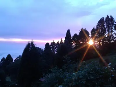 a sun setting over a forest of trees at Lagunillas Del Poas in Poasito