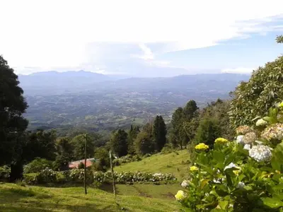 a view of a hill with flowers on a field at Lagunillas Del Poas in Poasito