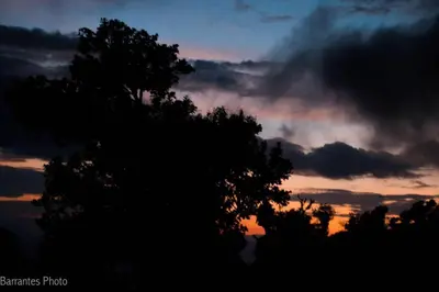 a silhouette of a tree in front of a sunset at Lagunillas Del Poas in Poasito