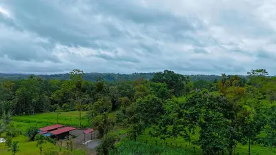 an overhead view of a house in a field with trees at Refugio Las Cortezas in Tapantí