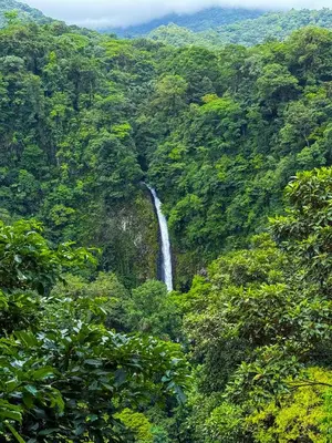 a waterfall in the middle of a forest at Refugio Las Cortezas in Tapantí