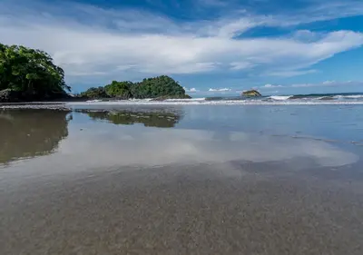 a beach with trees and waves in the water at Hotel Manuel Antonio in Manuel Antonio