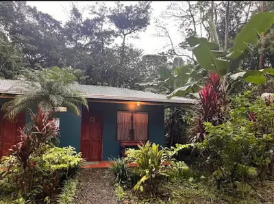 a small house in the middle of a garden at Finca Verde Lodge in Upala