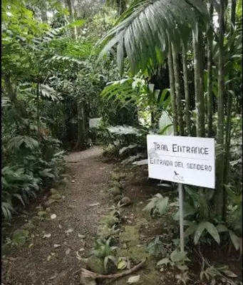 a sign in the middle of a trail in the jungle at Finca Verde Lodge in Upala