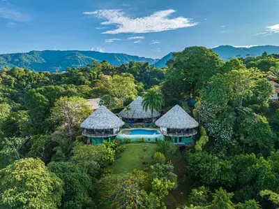 an aerial view of a house in the forest at TikiVibez in Coronado