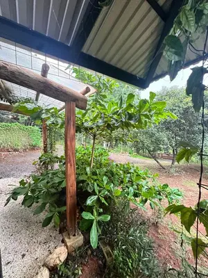 a wooden stand in a garden with plants at Casa Laurel in Santa Cruz