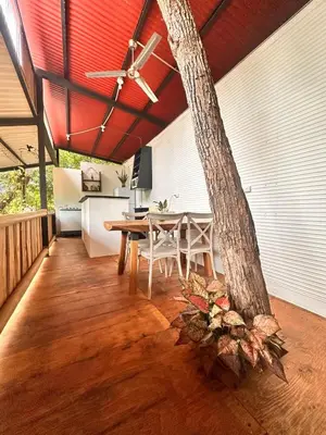 a dining room with a table and a tree at Casa Laurel in Santa Cruz