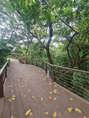 a wooden boardwalk in a park with leaves on it at Apartamento moderno con vista al río, piscinas y gym Costa Rica in Santa Ana
