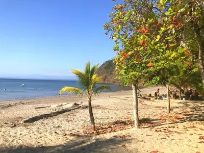 a beach with palm trees and the ocean at Beach House In Punta Leona with private Pool in Punta Leona