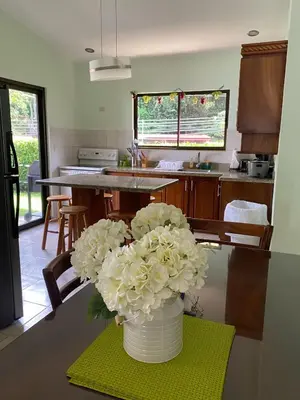 a vase with white flowers on a table in a kitchen at Beach House In Punta Leona with private Pool in Punta Leona