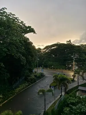 a street with trees on the side of a road at Modern Haven with Forest Views and Ocean Breeze in Jacó