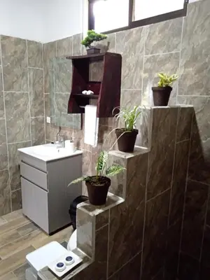 a bathroom with a sink and potted plants on the wall at Pino Lodge, Río Celeste in Upala
